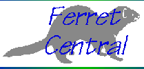 Ferret Central